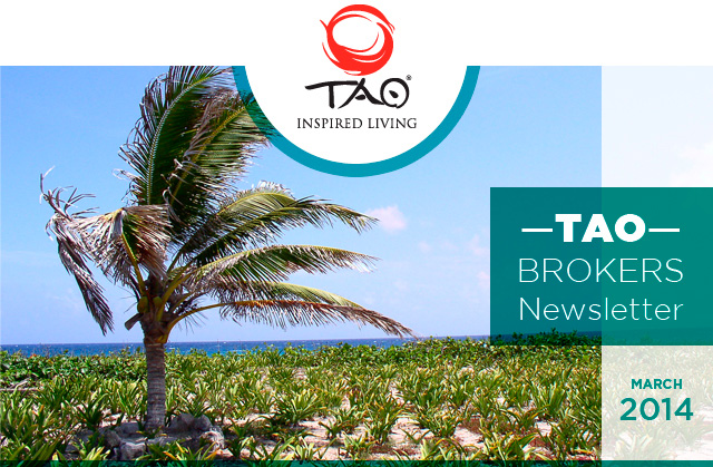 TAO - BROKERS Newsletter