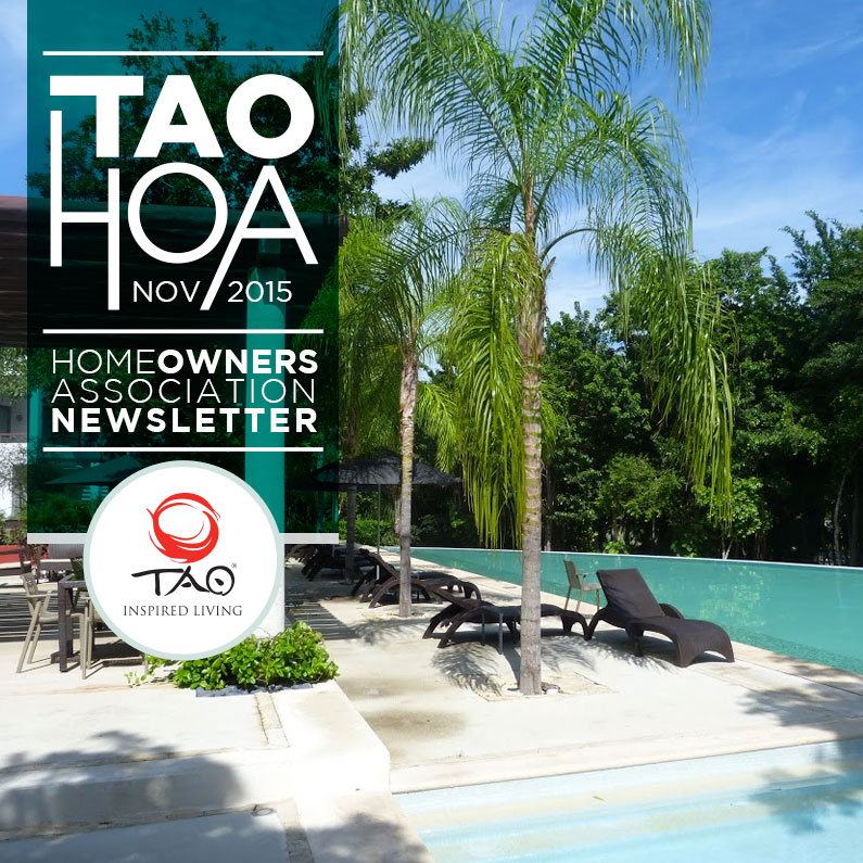 TAO Homeowners Newsletter | November 2015 | TAO Inspired Living