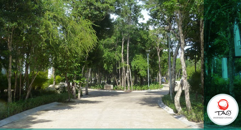 The Mayan stone circles in front of ZEN and QI, and TH-A and TH-B are now completed.