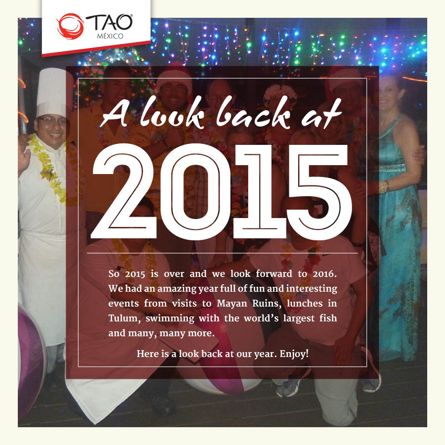 A Look Back at 2015 // TAO Mexico