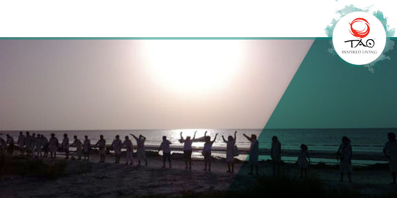 Human Chain for “Let’s Save Holbox!”