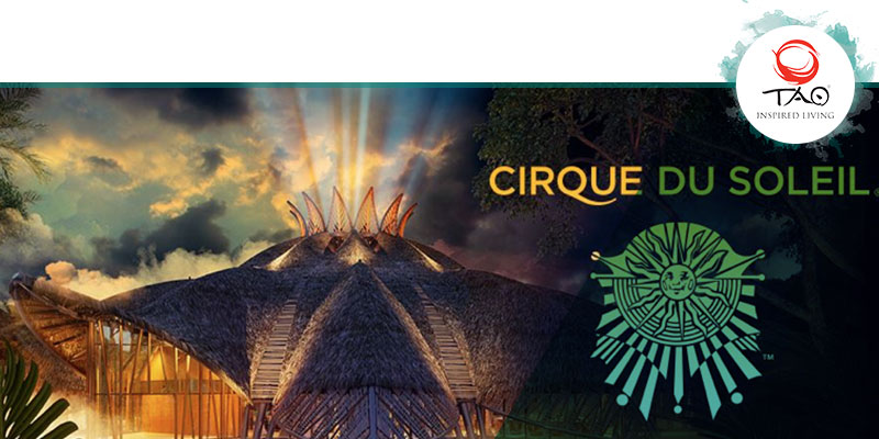 Cirque du Soleil opening November 2014