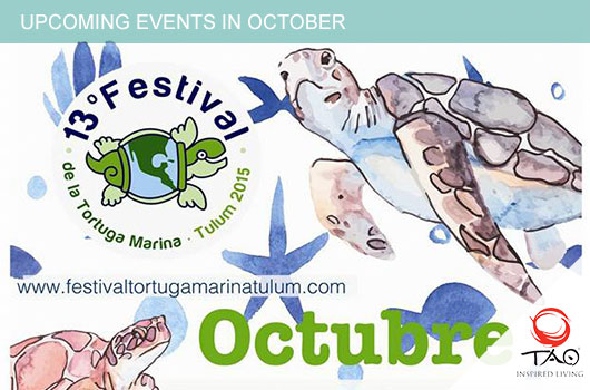 Tulum Sea Turtle Festival