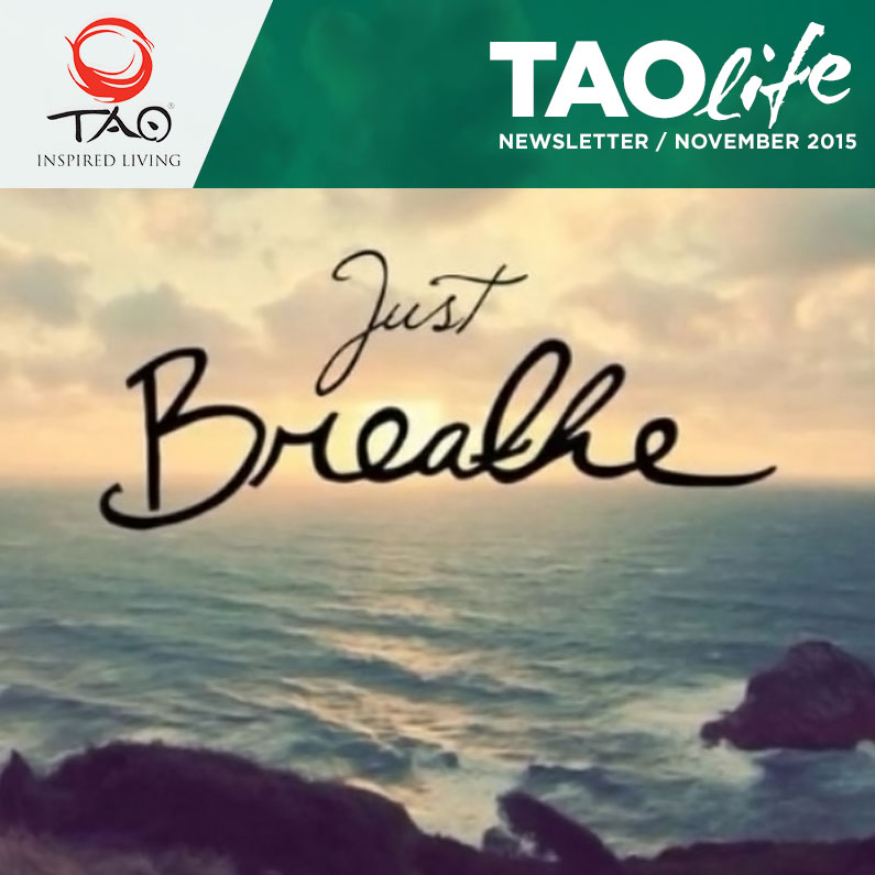 TAOlife Newsletter / November 2015 / TAO Inspired Living