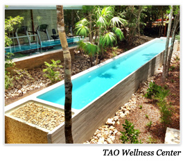 TAO Wellness Center