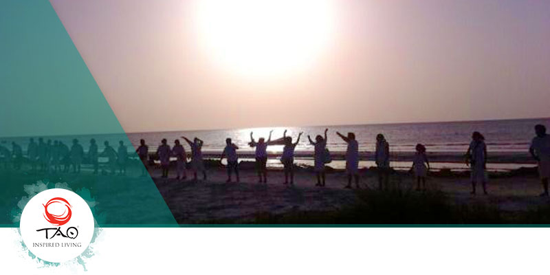 Human Chain for “Let’s Save Holbox!”