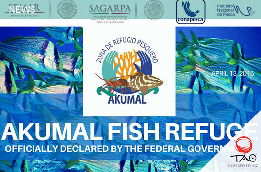 AKUMAL DECLARED A FISHING REFUGE