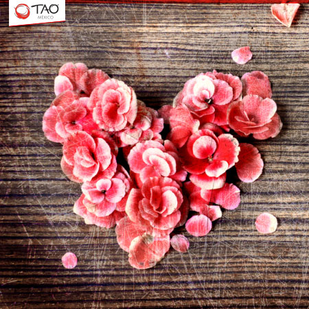 Valentine's Day - Día del Amor y la Amistad