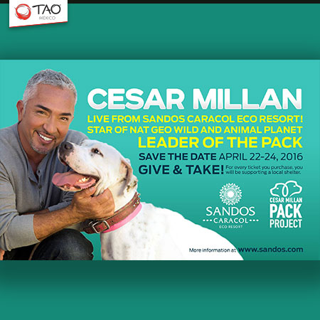 Cesar Millan live at Sandos Caracol!
