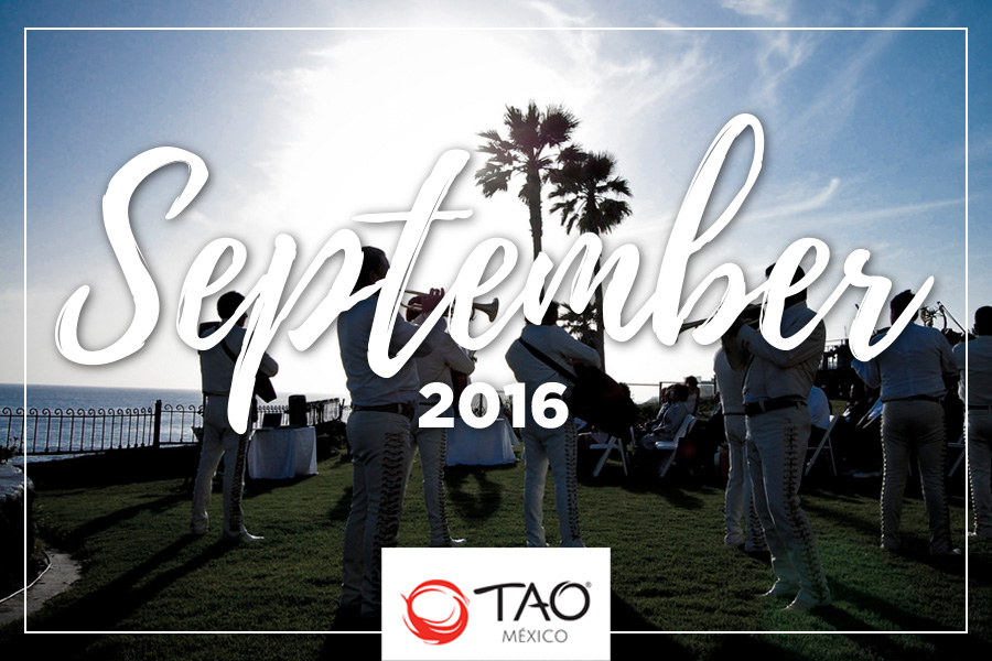 We Are TAO Newsletter / August 2016 / TAO México