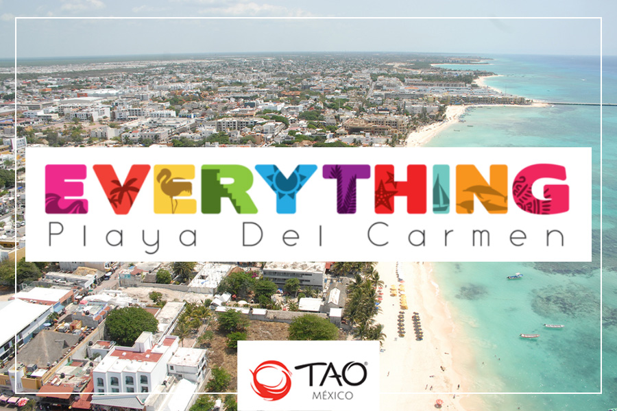 Grocery Shopping Guide for Playa Del Carmen