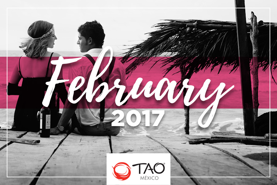 We Are TAO Newsletter / February 2017 / TAO México