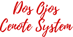 DOS OJOS Cenote System